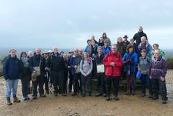 Holmbury Hill, Surrey